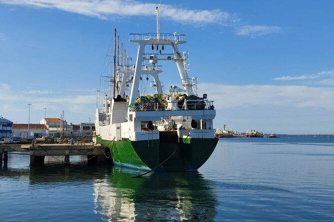 From Aveiro: Costa Nova, Barra, Vista Alegre - Half-Day Trip - How the guide experience improves what you see