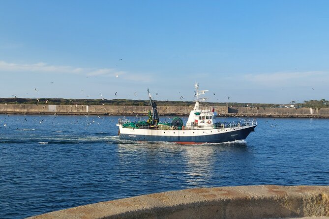 From Aveiro: Costa Nova, Barra, Vista Alegre - Half-Day Trip - Price and logistics: private for up to four, with pickup in Aveiro