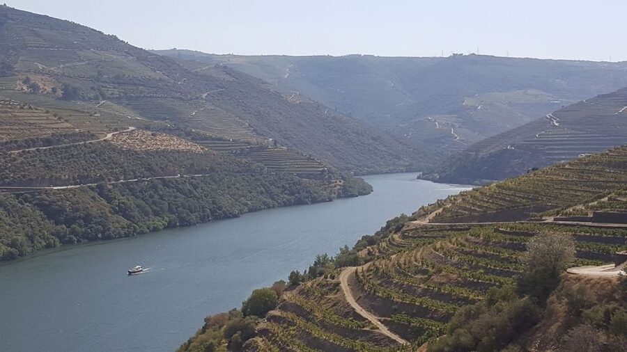 From Gaia Douro Valley Tour Wine Tasting River Cruise Lunch - Winery visit and wine tasting: tasting the Douro the right way