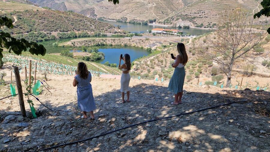 From Gaia Douro Valley Tour Wine Tasting River Cruise Lunch - Sabrosa lunch: a focused hour with regional flavors