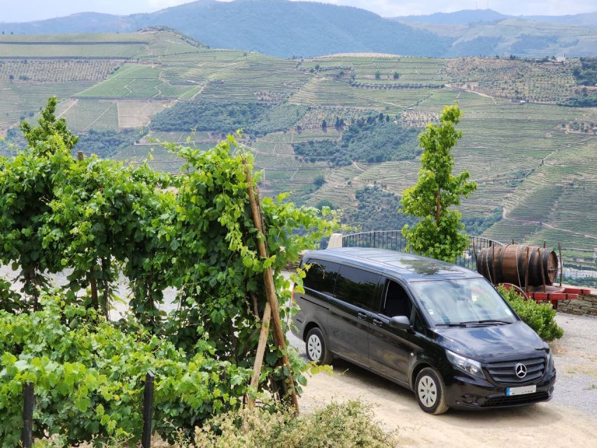 From Peso da Régua: Visit 3 wineries, tasting and viewpoint - Stop-by-Stop Timing: 1.5 Hours, 1.5 Hours, Then 1 Hour of Tastings