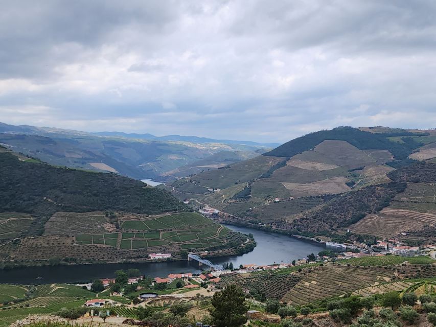 From Peso da Régua: Visit 3 wineries, tasting and viewpoint - Price and Value: What $216 Buys You (and Why It Can Be Worth It)