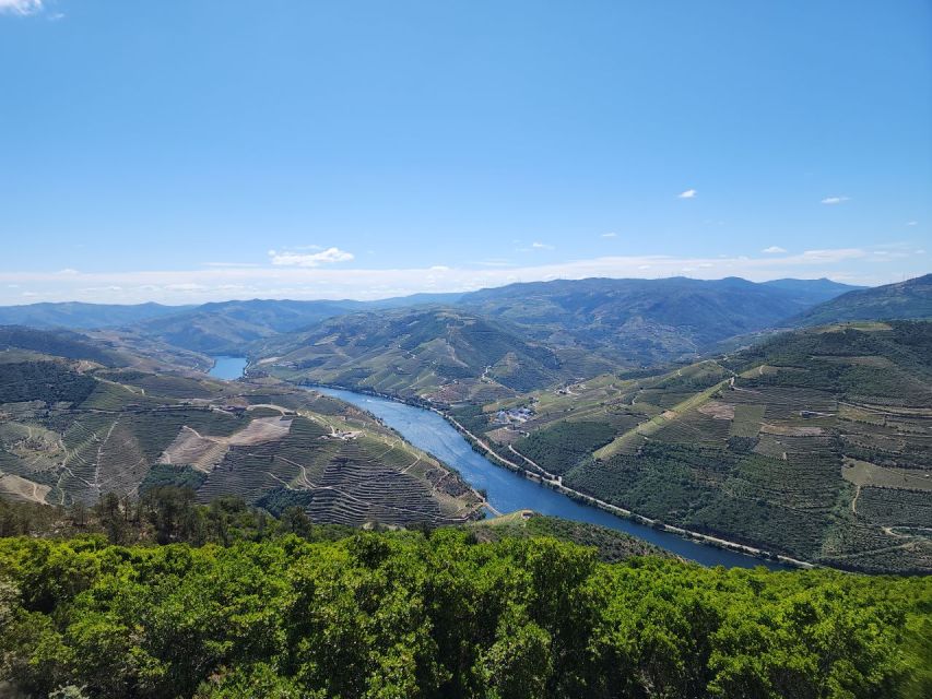 From Peso da Régua: Visit 3 wineries, tasting and viewpoint - What to Drink and How to Taste Without Feeling Overwhelmed