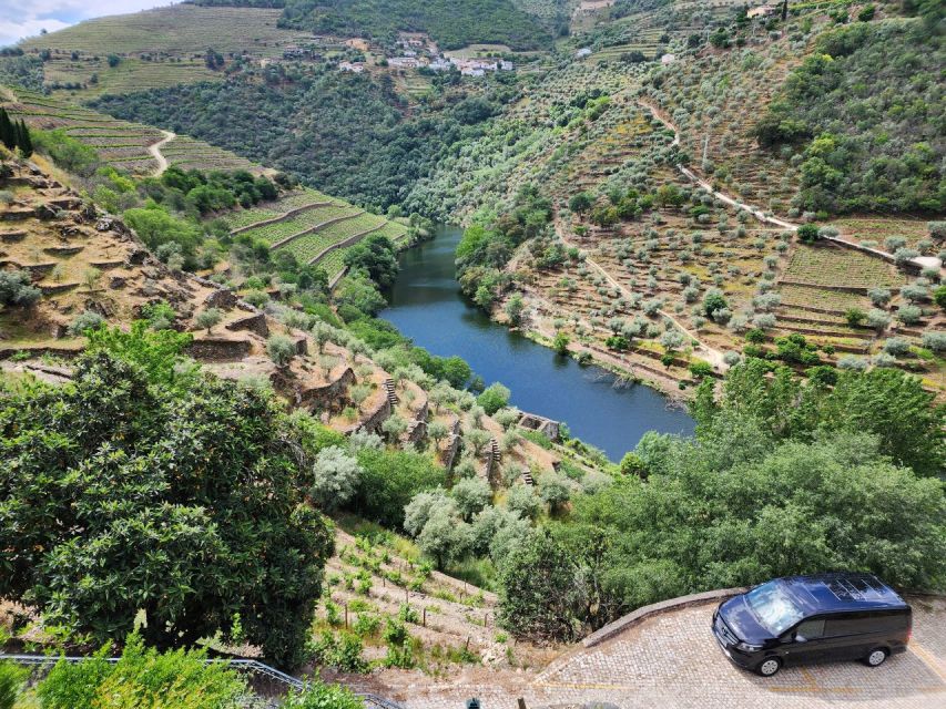 From Peso da Régua: Visit 3 wineries, tasting and viewpoint - What to Pack and How to Plan Your Lunch Gap