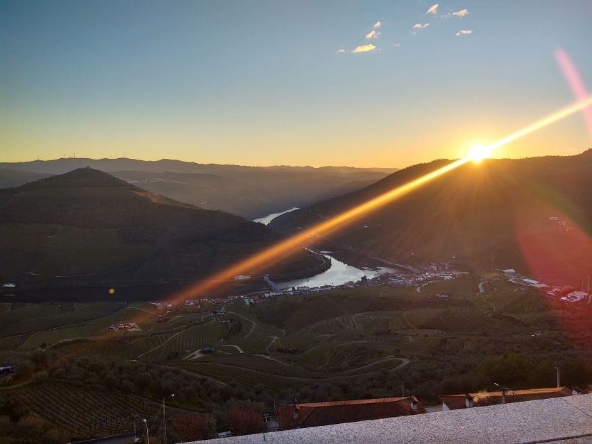 From Peso da Régua: Visit 3 wineries, tasting and viewpoint - Should You Book This 3-Winery Private Douro Tour?
