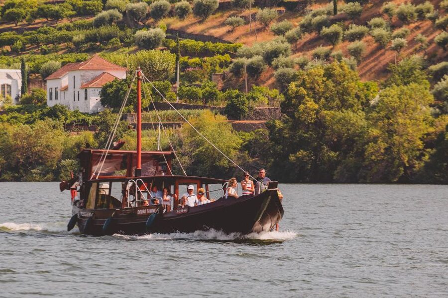 From Pinhão: Douro Valley Rabelo Boat Tour with Audio Guide - Who should book this Douro boat tour, and who should not