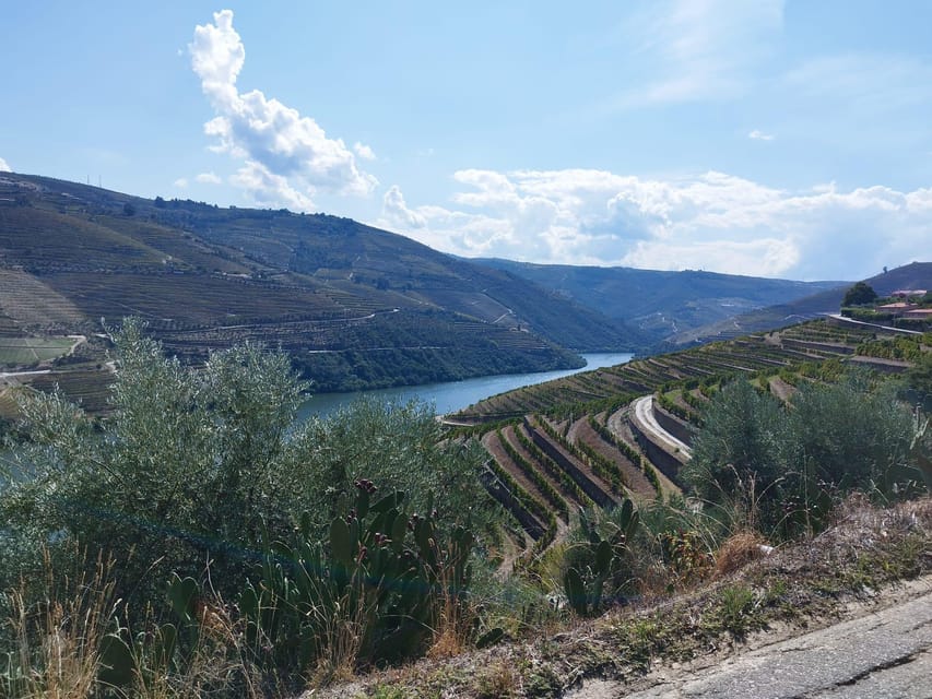 From Pinhão: Douro Valley Tour w/ Wine Tasting and Boat Trip - Guides in the spotlight: where the humor and stories really land