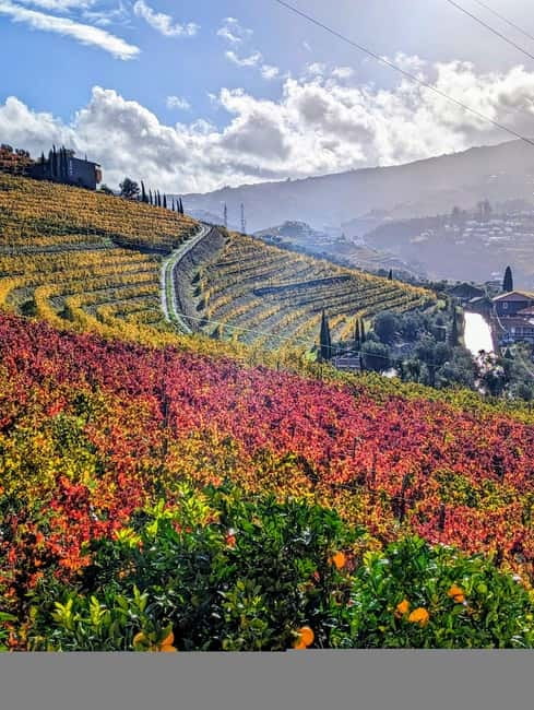 From Porto: 2 Wine Regions, Farm-to-Table Lunch & Boat - Who This Tour Is Best For