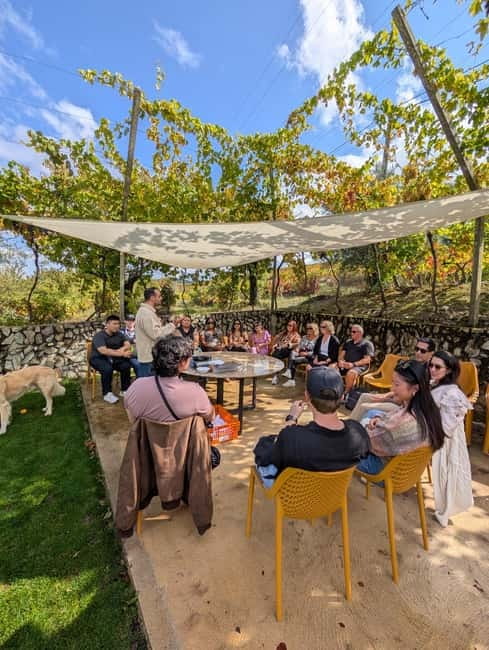 From Porto: 2 Wine Regions, Farm-to-Table Lunch & Boat - Douro Valley Time: Lunch with Views and a Proper Wine Finish