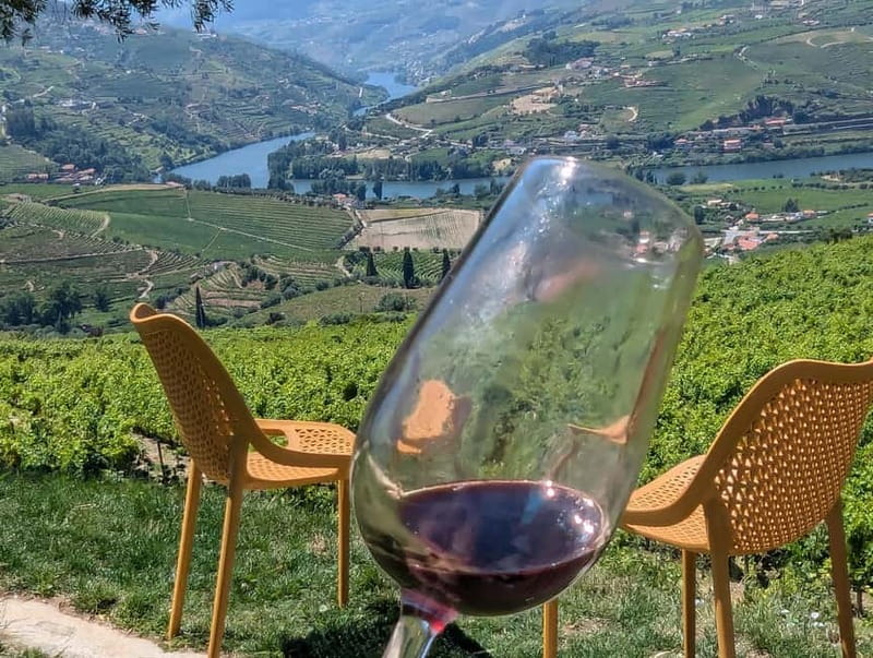 From Porto: 2 Wine Regions, Farm-to-Table Lunch & Boat - Pinhão Photo Stop and the 1-Hour Private Boat Cruise
