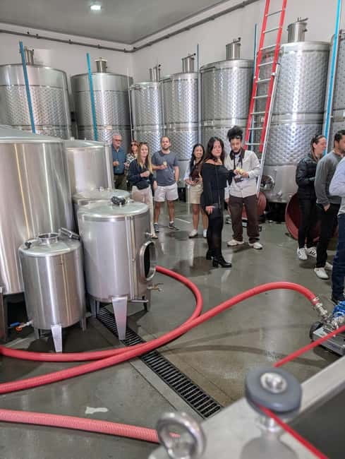 From Porto: 2 Wine Regions, Farm-to-Table Lunch & Boat - Wine, Food, and Guide Energy: What the Best Departures Feel Like