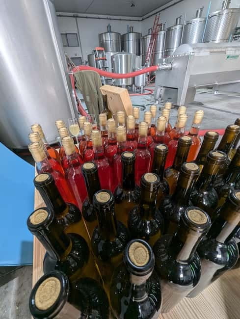 From Porto: 2 Wine Regions, Farm-to-Table Lunch & Boat - Price and Value: Is $127 Worth It?