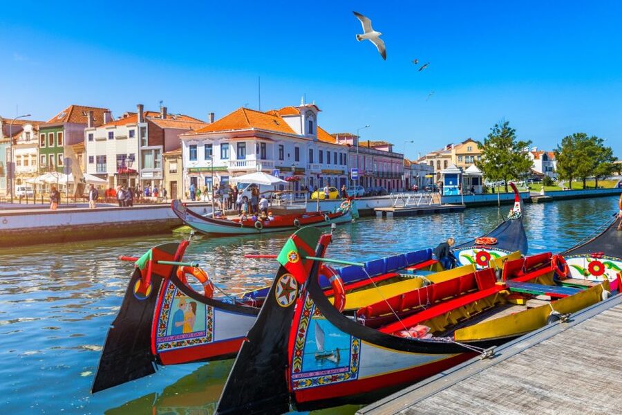 From Porto: Aveiro and Coimbra Private Tour - Aveiro to Coimbra: the student-city shift
