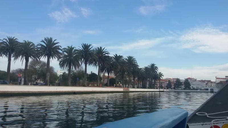 From Porto: Aveiro & Coimbra Tour with Moliceiro Boat Cruise - Key highlights worth caring about