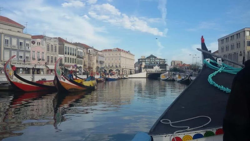 From Porto: Aveiro & Coimbra Tour with Moliceiro Boat Cruise - Porto to Aveiro by van: comfort, timing, and first sights