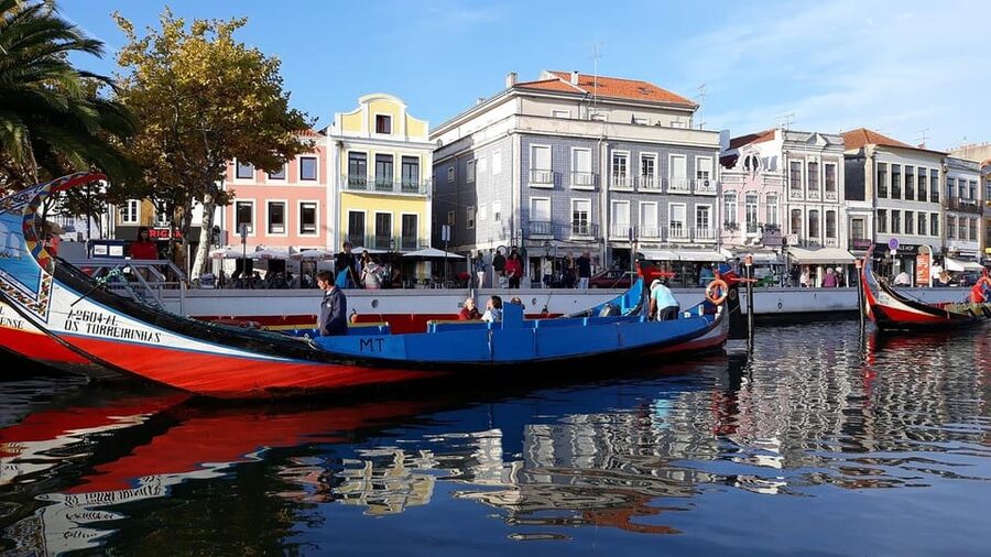From Porto: Aveiro Half Day Tour - Key things that make this tour worth your attention