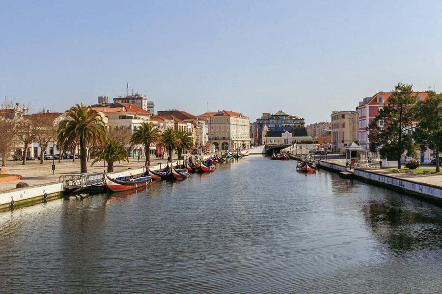 From Porto: Aveiro Half Day Tour - Aveiro Historic Center: Guided Orientation and Real Wandering Time