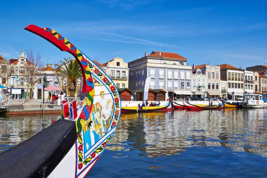 From Porto: Aveiro Half-Day Tour with 1-Hour Cruise - Porto to Aveiro in About Four Hours, Without the Headache