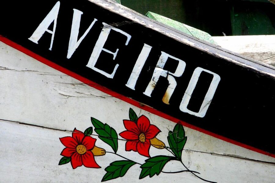 From Porto: Aveiro Half-Day Tour with 1-Hour Cruise - The Meeting Point Near St. Bento Station, and What to Bring