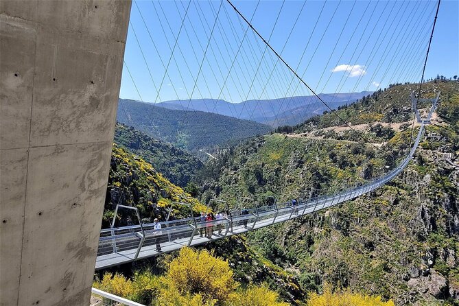 From Porto: Aveiro, Paiva Walkways, Suspension Bridge and Lunch - Arouca 516 suspension bridge, nerve and views in one morning