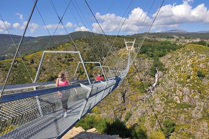 From Porto: Aveiro, Paiva Walkways, Suspension Bridge and Lunch - Arouca lunch break, Portuguese comfort food plus vinho verde