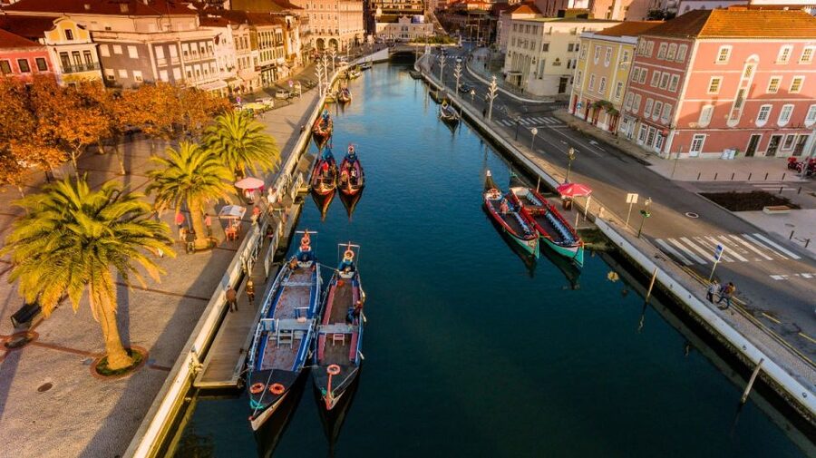 From Porto: Aveiro Private Guided Day Trip - Costa Nova Striped Houses: Photo Time With Sea-Air Atmosphere