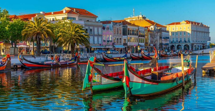 From Porto: Aveiro Private Guided Day Trip - Saint Joana Convent And Vista Alegre Museum For Real Sense Of Place