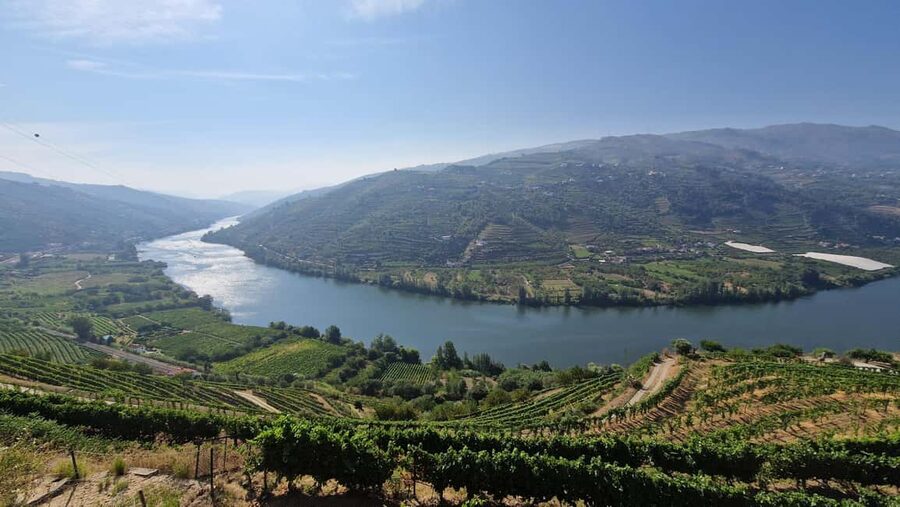 From Porto Day Douro Valley Wine Tour 2 Wine Tasting & Lunch - Sabrosa Stop: First Winery Visit, Walk Time, and Tasting Notes