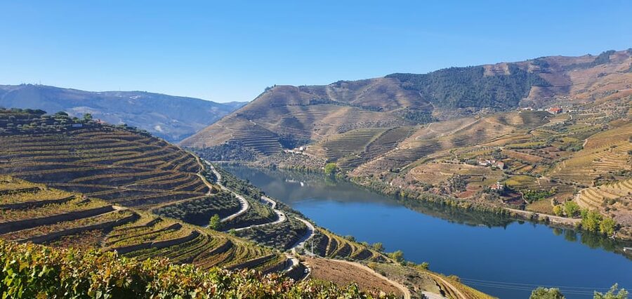 From Porto Day Douro Valley Wine Tour 2 Wine Tasting & Lunch - Peso da Régua: Short Pass-By Views and the Return to Porto