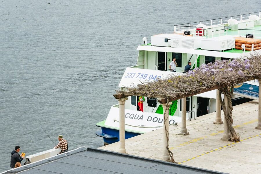 From Porto: Douro River Cruise to Régua with Lunch - Who This Cruise Is Best For