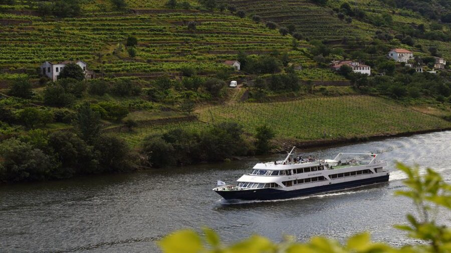 From Porto: Douro River Cruise, Winery Visit & Lunch - Régua, dams, and the flow of time: the big picture of the itinerary