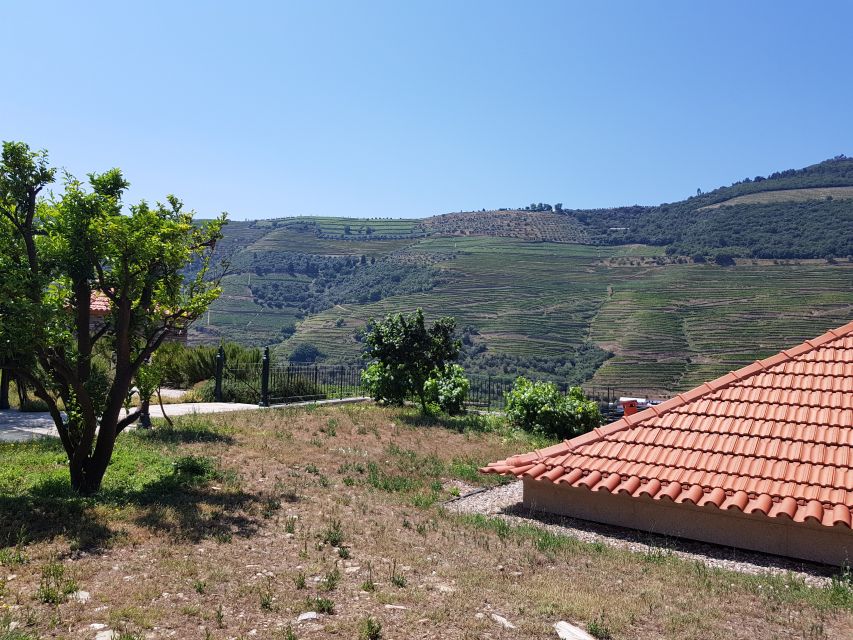 From Porto: Douro Valley 3 Vineyards Tour with Lunch - Scenic driving, photo stops, and the real value of the route
