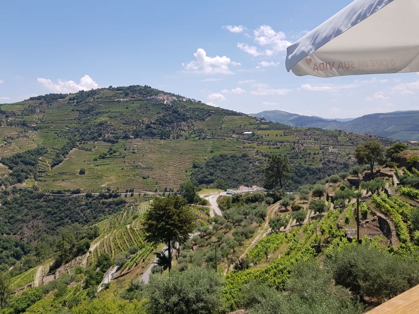 From Porto: Douro Valley 3 Vineyards Tour with Lunch - Guides make or break a wine day, and this one has strong names