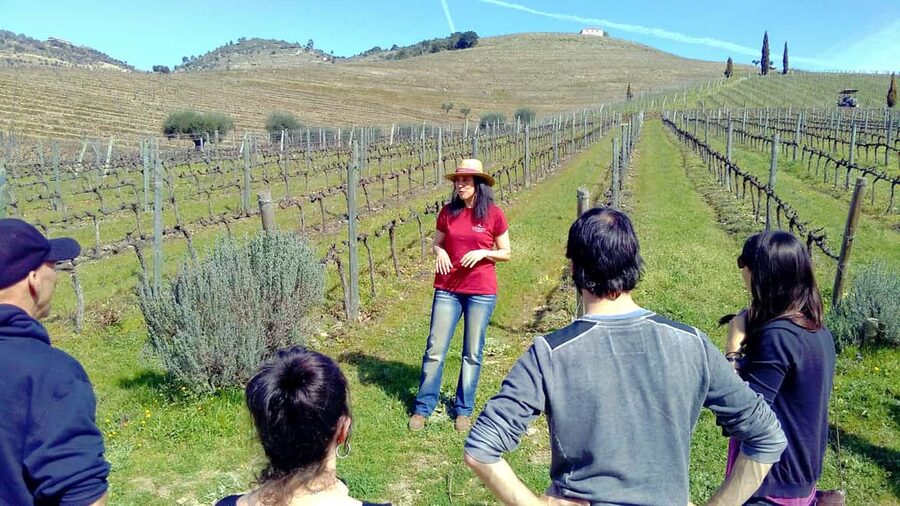 From Porto: Douro Valley 3 Vineyards Tour with Lunch - Pickup, travel time, and how to be ready