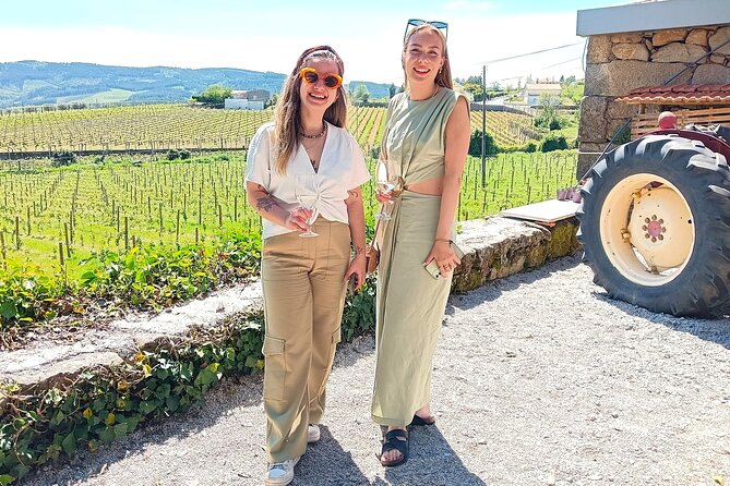 From Porto: Douro Valley Tour with 2 Wineries, Lunch and Cruise - Two cellar visits: what you actually get beyond the marketing