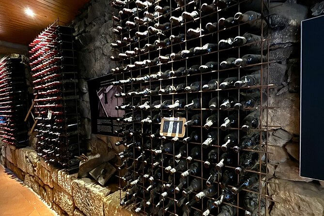 From Porto: Douro Valley Tour with 2 Wineries, Lunch and Cruise - Logistics that can affect your comfort: vans, sound, and language