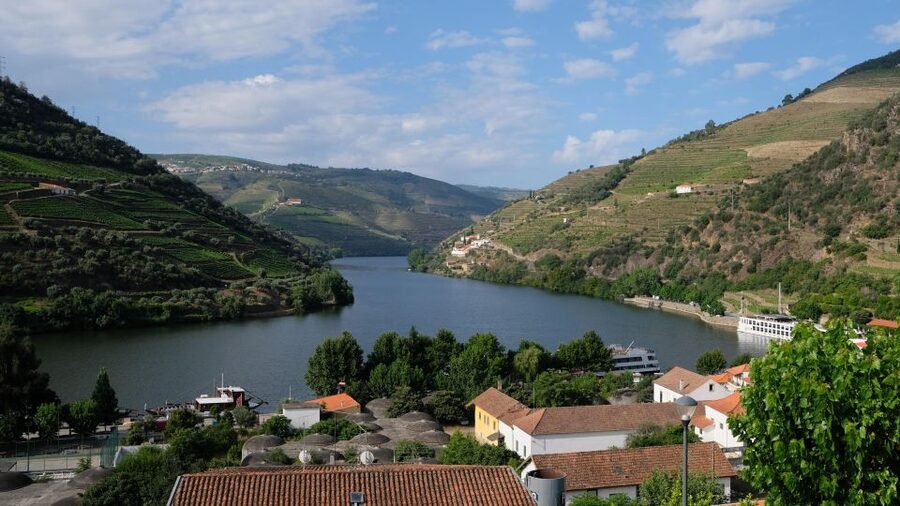 From Porto: Douro Valley Tour with Tastings, Boat & Lunch - Key things that make this Douro tour worth your time