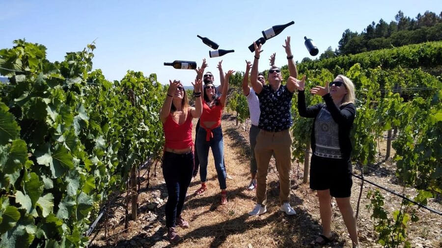 From Porto: Douro Valley Tour with Tastings, Boat & Lunch - Winery number one: Douro DOC tastings that start with the basics