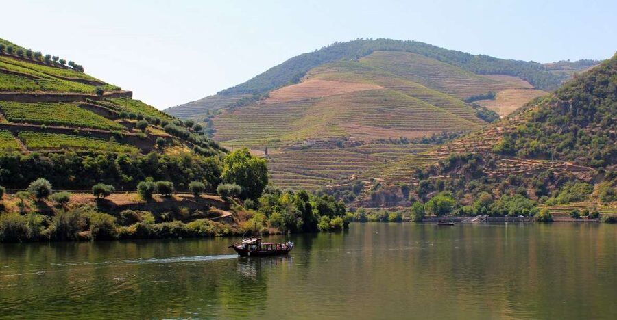 From Porto: Douro Valley Tour with Tastings, Boat & Lunch - What you get from the itinerary pacing (and what you should skip expecting)