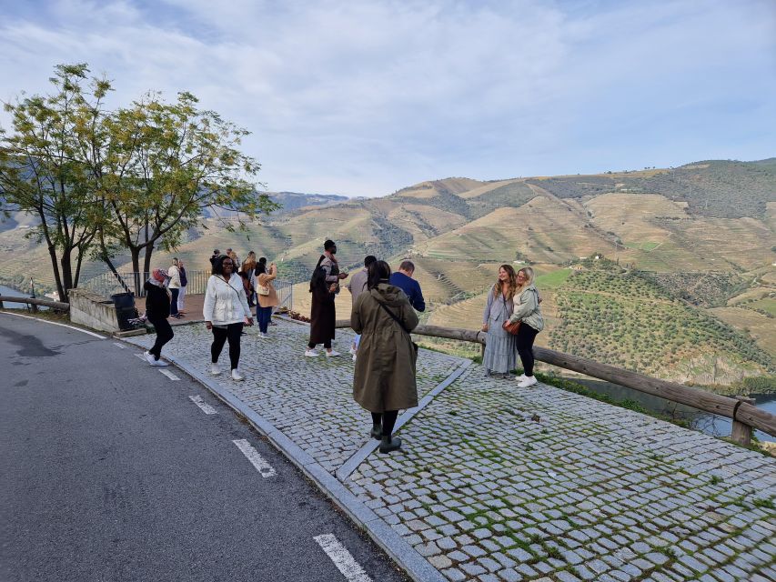 From Porto Douro Valley Tour with Train and Vinho Verde - The train ride: comfort and views without the stress of driving