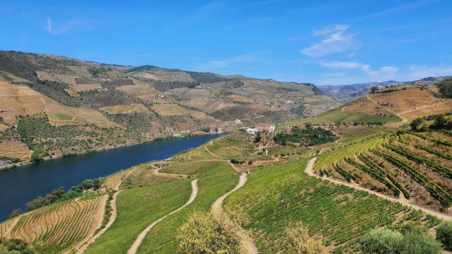 From Porto Douro Valley Tour with Train and Vinho Verde - Amarante visit and the second wine tasting, including Vinho Verde vibes