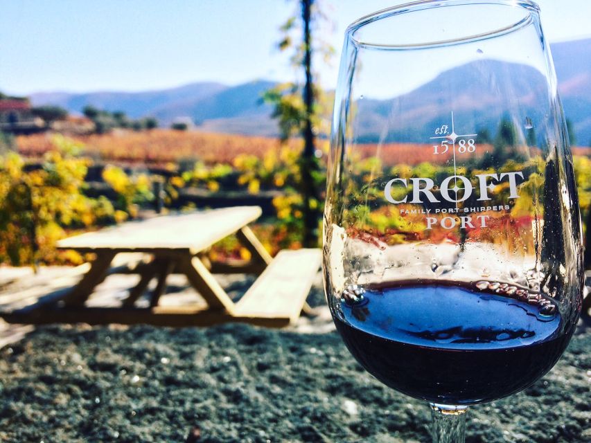 From Porto: Douro Valley w/ Boat Tour, Wine Tasting & Lunch - What to pack and the vehicle rules (so you don’t lose time)