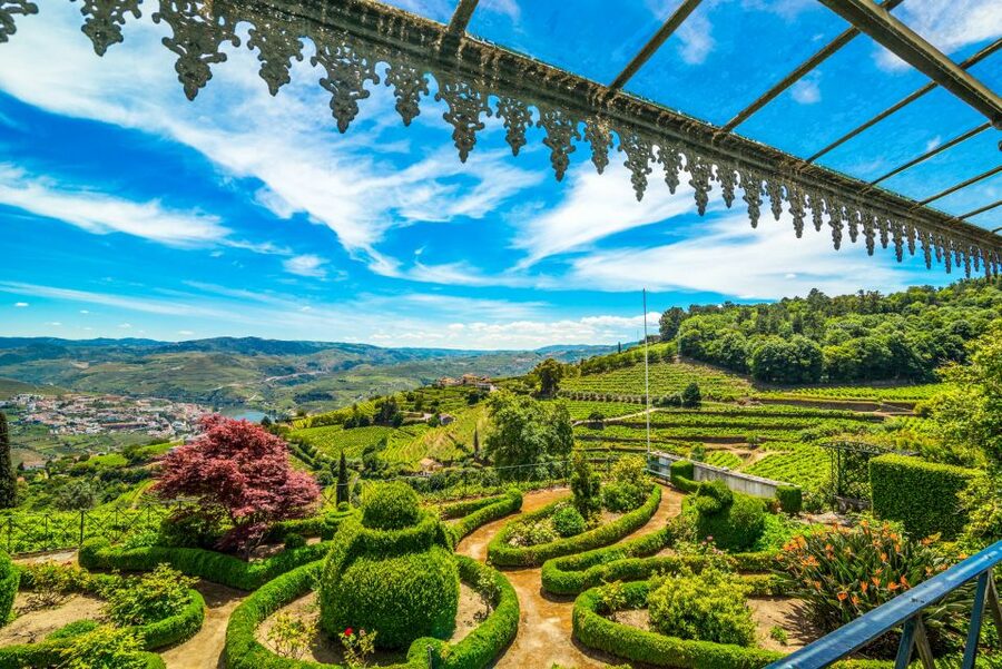 From Porto: Douro Valley w/ Boat Tour, Wine Tasting & Lunch - Pinhão and the 1-hour Douro boat cruise: the calm reset