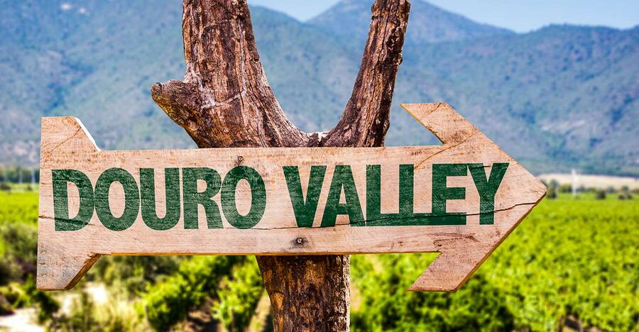 From Porto: Douro Valley w/ Boat Tour, Wine Tasting & Lunch - Price and value for about $82: what you’re really buying