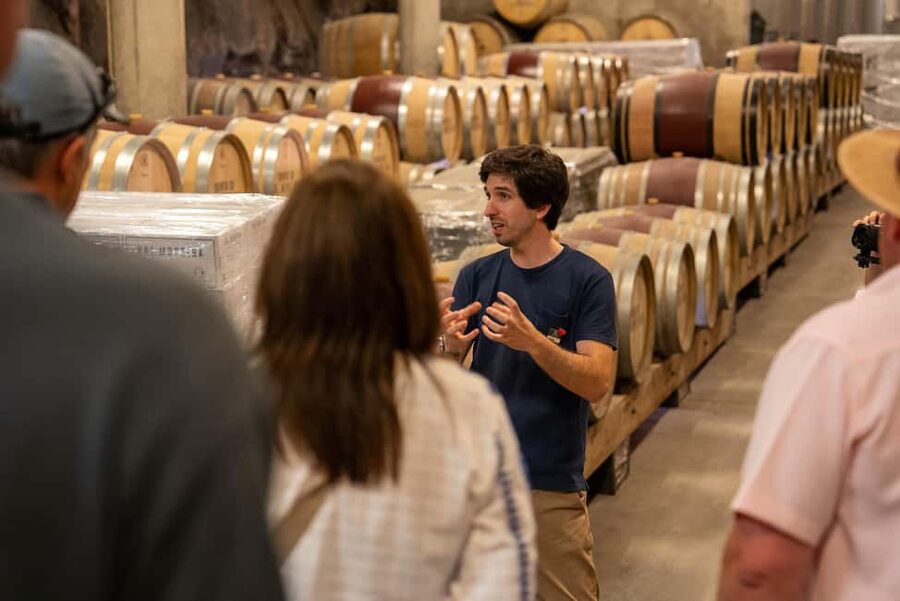 From Porto: Douro Valley Wine Tour with Lunch and Cruise - Lunch at the second winery, where the day really tastes like Portugal
