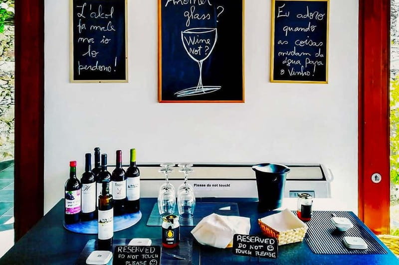 From Porto: Douro Valley with Wineries, Lunch and Boat Trip - Who this Douro Valley tour is for, and who should skip it