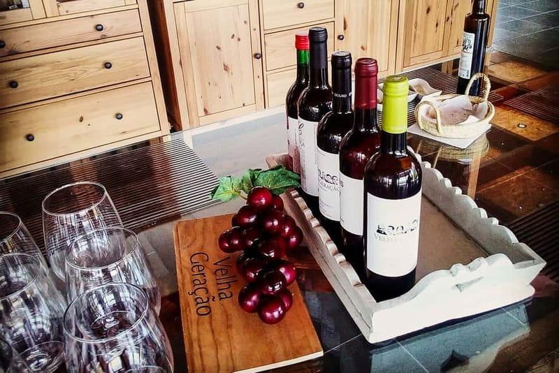From Porto: Douro Valley with Wineries, Lunch and Boat Trip - A 10-hour Douro day from Porto that moves at human speed