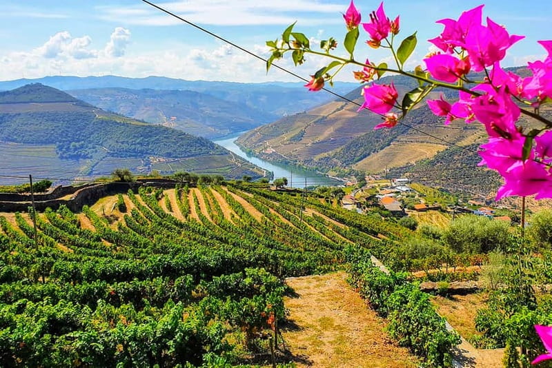 From Porto: Douro Valley with Wineries, Lunch and Boat Trip - Quinta do Seixo and the Port tasting that gives you context