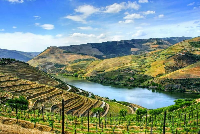 From Porto: Douro Valley with Wineries, Lunch and Boat Trip - Igreja da Lapa, Amarante, and Peso da Régua photo moments