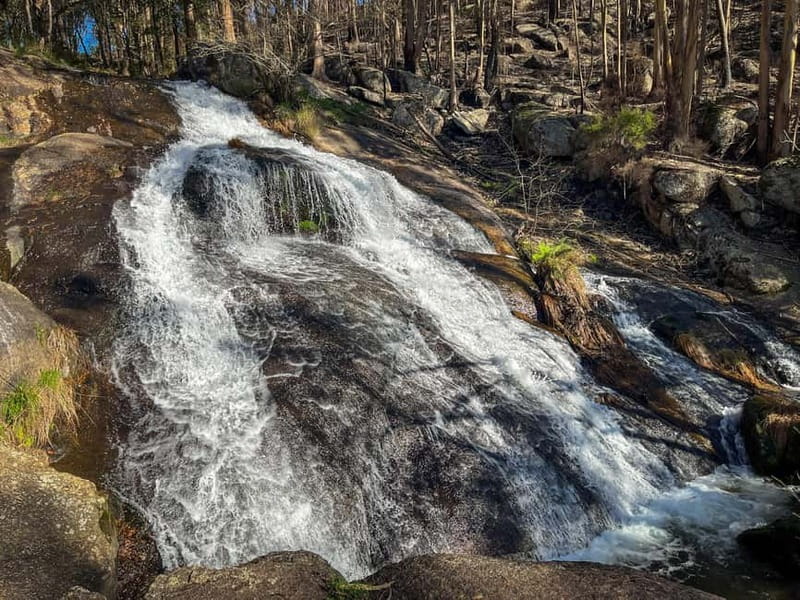 From Porto: Forest Waterfalls & Roman Ruins Trail Tour - Key Highlights You’ll Notice on the Trail
